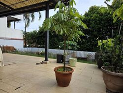 Shamrock Park (D10), Semi-Detached #504054511